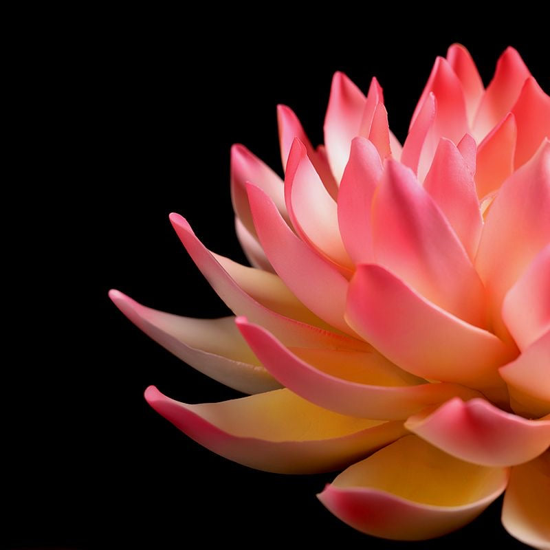 Handmade Ceramic Pink Lotus Flower Incense Holder